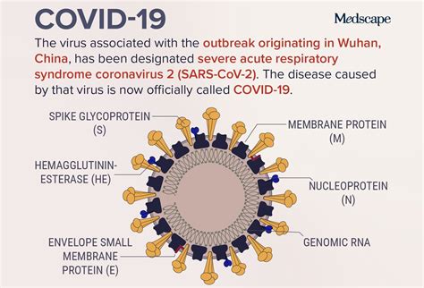 who.comis|Coronavirus disease (COVID.